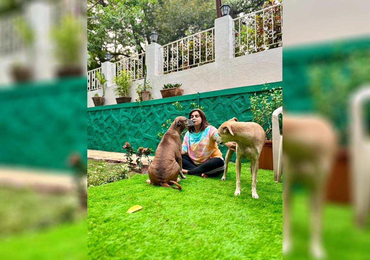 Angel House -Your Private Pet Friendly Haven لونافالا المظهر الخارجي الصورة